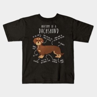 Red Wirehaired Dachshund Dog Anatomy Kids T-Shirt